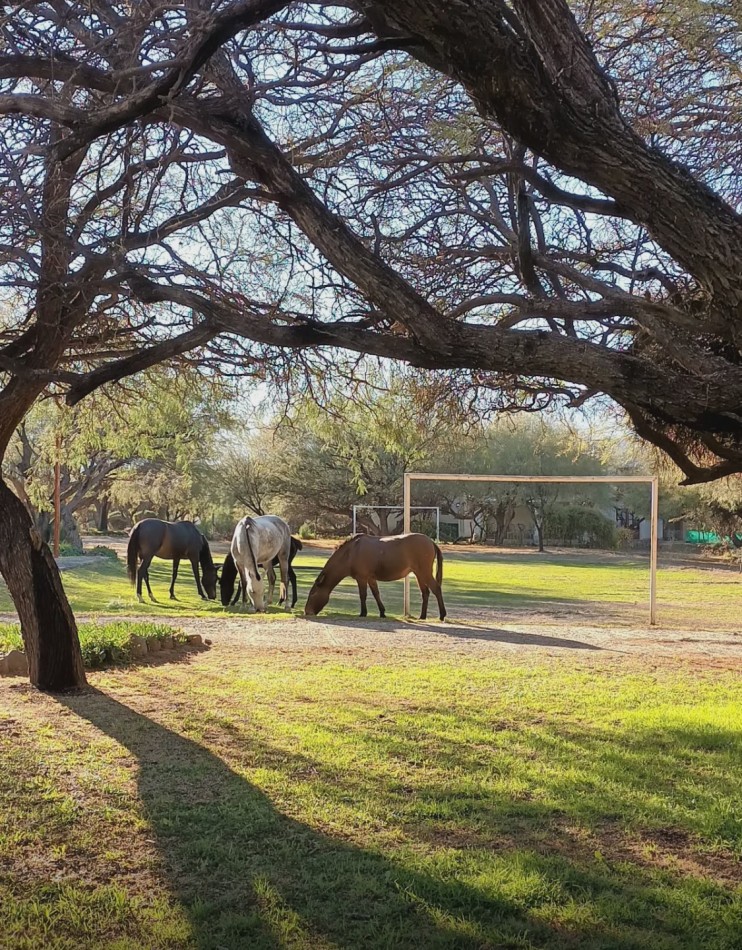 DOS LOTES SOÑADOS EN CLUB DE CAMPO EL BOSQUE EN LA CIUDAD DE CAFAYATE