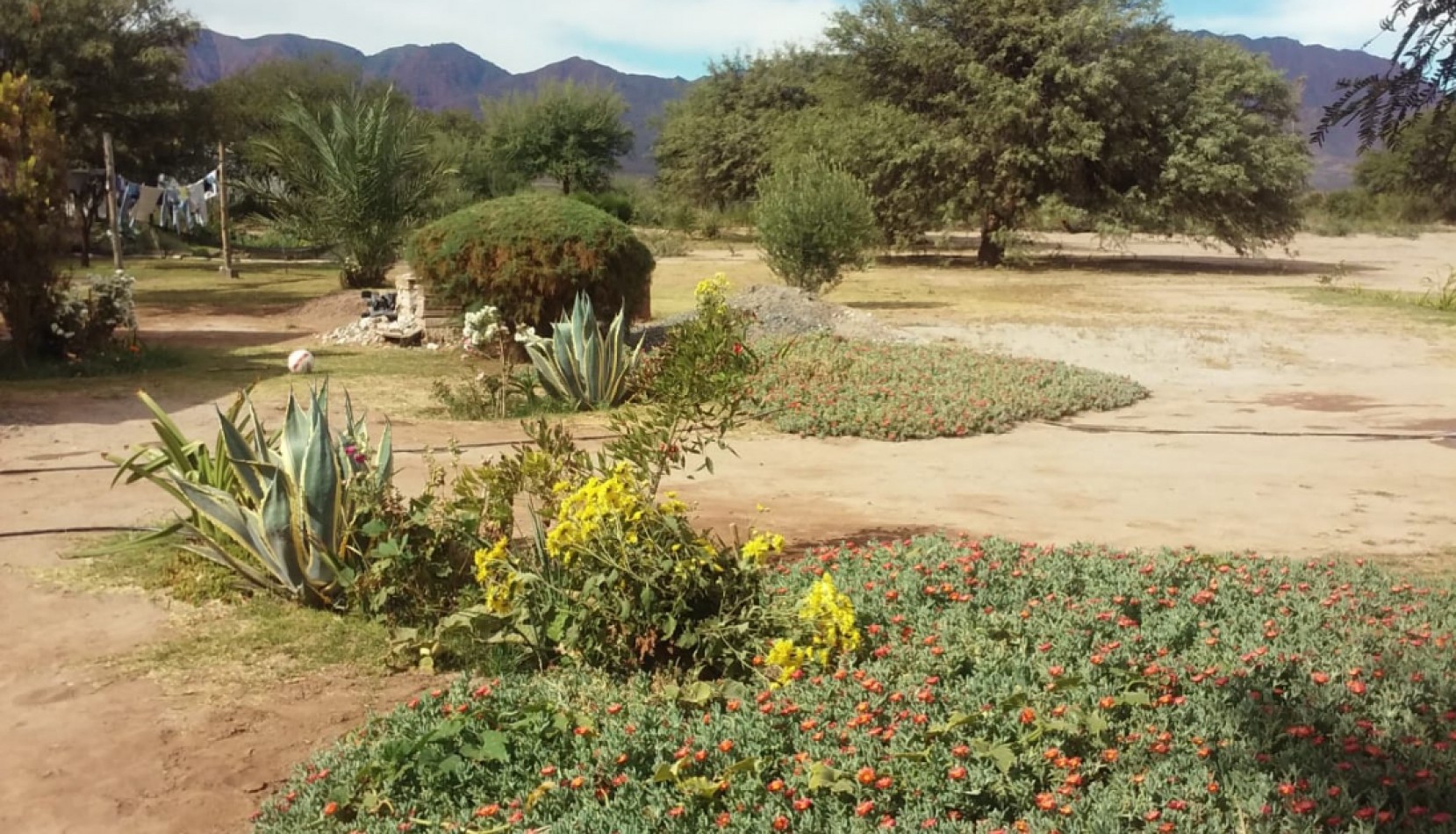 CASA QUINTA EN VENTA EN CIUDAD DE SAN CARLOS PROVINCIA DE SALTA