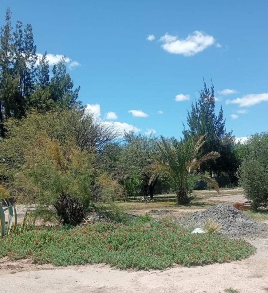 CASA QUINTA EN VENTA EN CIUDAD DE SAN CARLOS PROVINCIA DE SALTA