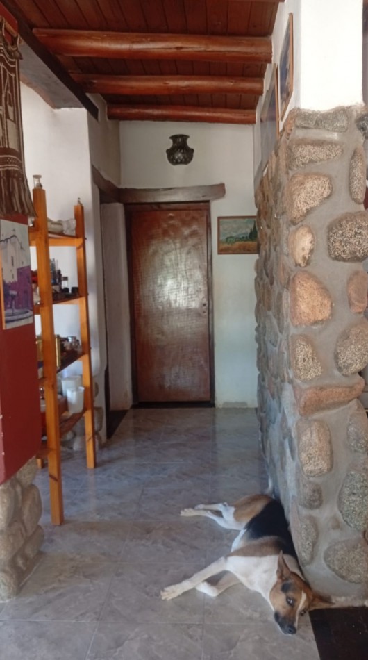 CASA QUINTA EN VENTA EN CIUDAD DE SAN CARLOS PROVINCIA DE SALTA