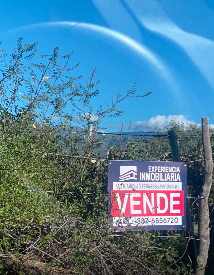 LOTE DE 250 M2 BARRIO EL TRANSITO A SOLO 7 CUADRAS DE PLAZA PPAL DE CAFAYATE PROV. DE SALTA