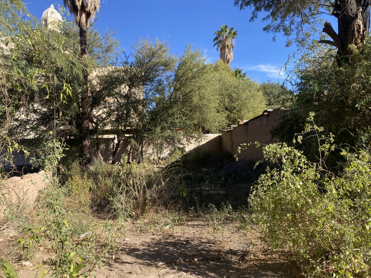 CASA EN VENTA ( PARA REFACCION )EN SAN CARLOS A SOLO 20 KM DE CAFAYATE PROVINCIA DE SALTA