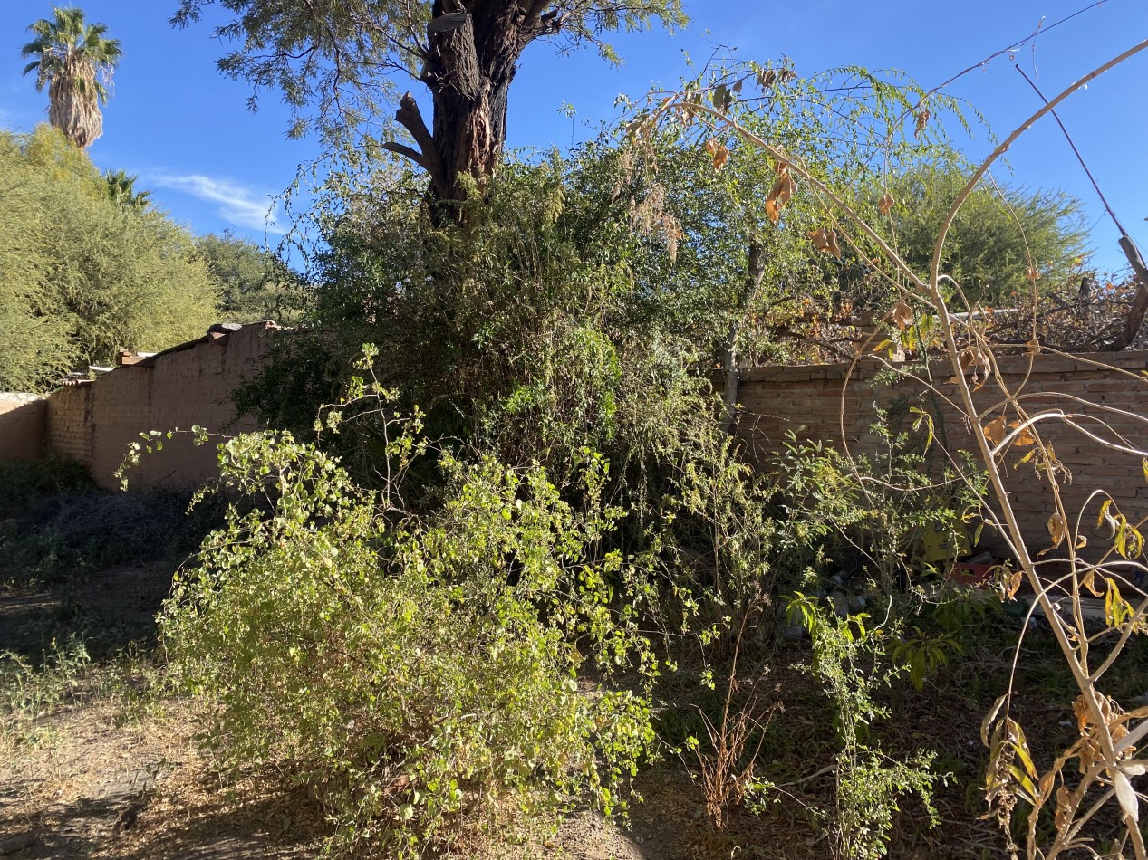 CASA EN VENTA ( PARA REFACCION )EN SAN CARLOS A SOLO 20 KM DE CAFAYATE PROVINCIA DE SALTA