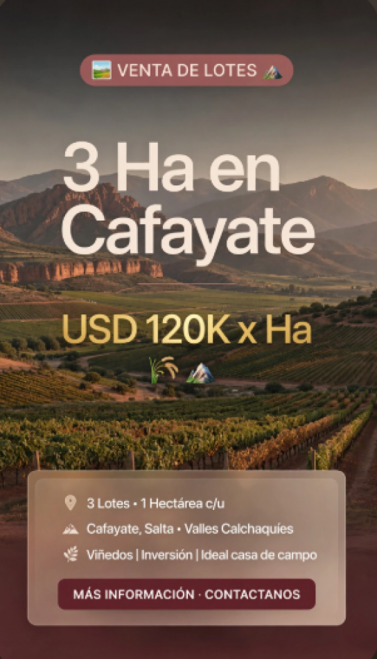 3 HECTAREAS SOBRE RUTA 68 A 120.000 DOLARES CADA HECTAREA