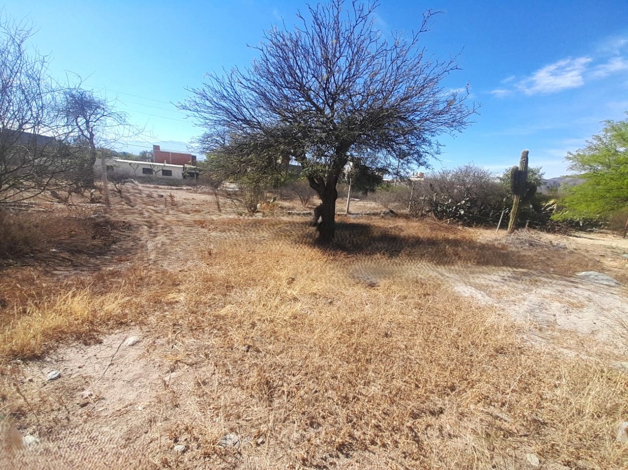 Lote en venta en Barrio Privado Vertientes - Cafayate, Salta, con vistas a la montaña