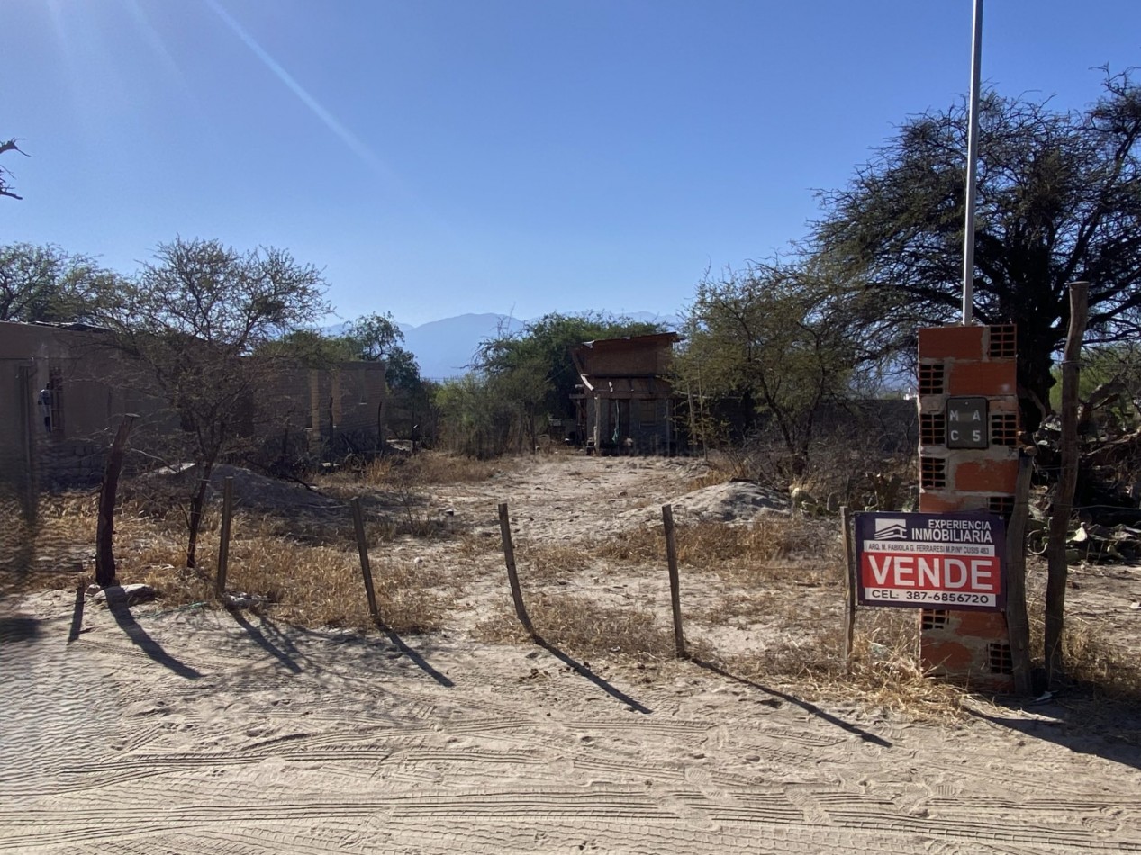 VENTA - Lote 342,20 m2 en La Banda de Arriba - Cafayate - Con Escritura Madre