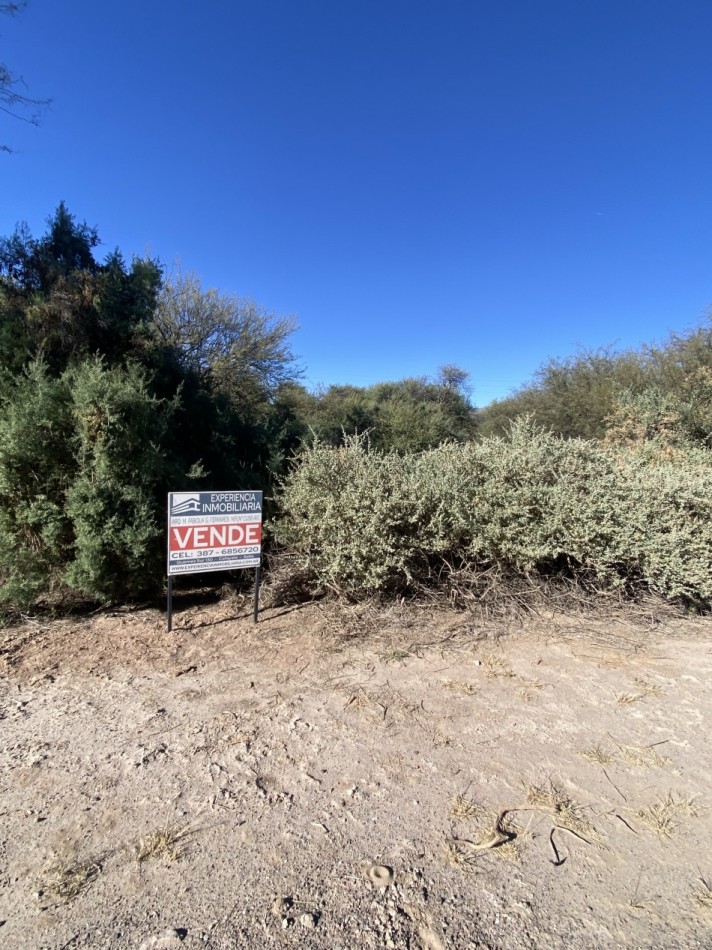LOTE DE 1.000 M2 EN CLUB DE CAMPO EL BOSQUE CIUDAD DE CAFAYATE
